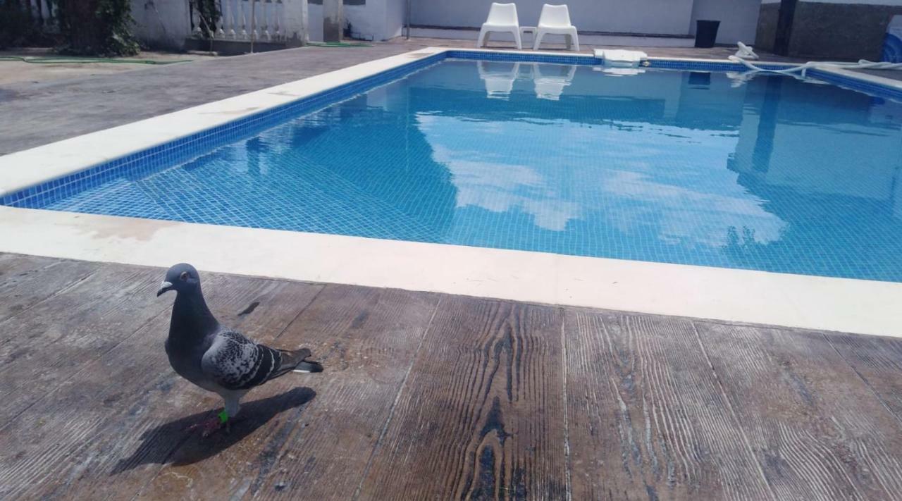 La Berruca Casa Rural Malpartida de Cáceres Kültér fotó
